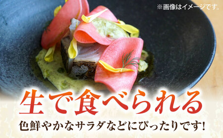 【先行予約】葉付き かぶ 10玉 【鈴也ファーム】[AKCE016]