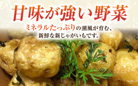 【先行予約】新じゃが きたあかり 約5kg 【鈴也ファーム】[AKCE021]