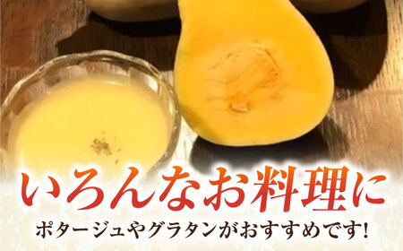 バターナッツ 約5kg 【鈴也ファーム】[AKCE022]