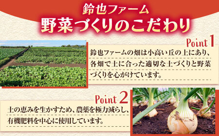 バターナッツ 約5kg 【鈴也ファーム】[AKCE022]