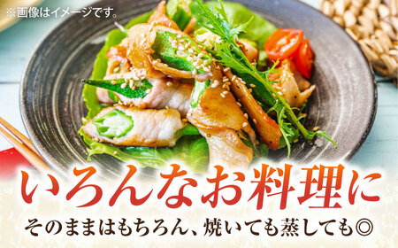 【先行予約】オクラ 約1kg【鈴也ファーム】[AKCE023] オクラ 