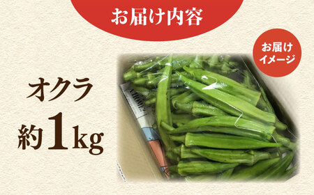 【先行予約】オクラ 約1kg【鈴也ファーム】[AKCE023] オクラ 
