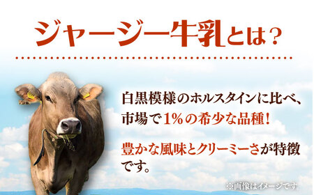 チーズ ナチュラルチーズ 3個セット　【よこすか関口牧場】[AKGN010]