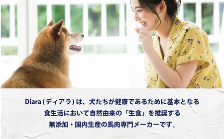 ペットフード 馬肉パーフェクトプラス 800g×1袋(80g×10本)  [AKGU001]