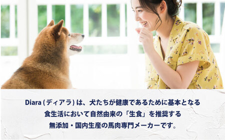 ペットフード 馬肉パーフェクトプラス 800g×3袋(80g×30本) 年内発送 [AKGU003]