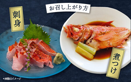 【先行予約】【冬季限定】下ごしらえ済 キンメダイ 約500~800g[AKAJ029]キンメダイ