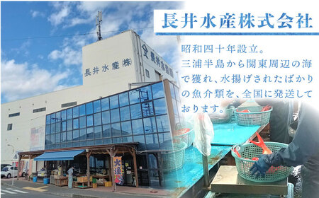 【先行予約】【冬季限定】下ごしらえ済 メダイ 約800g~1kg 鮮魚 処理済み 下処理済み 【長井水産株式会社】[AKAJ031]