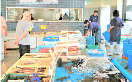 【先行予約】【冬季限定】下ごしらえ済 メダイ 約800g~1kg 鮮魚 処理済み 下処理済み 【長井水産株式会社】[AKAJ031]