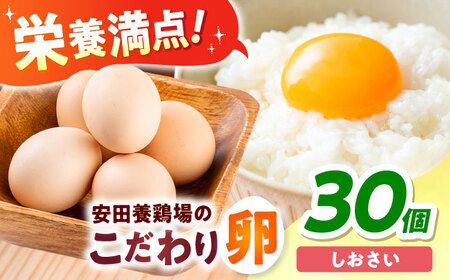 安田養鶏場の卵 しおさい 30個入り[AKHN001]卵