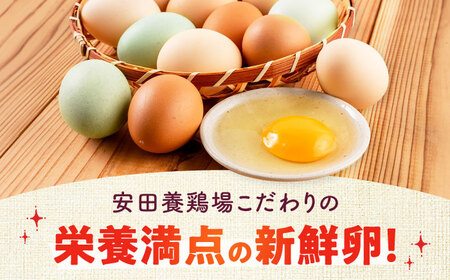 安田養鶏場の卵 しおさい 30個入り[AKHN001]卵