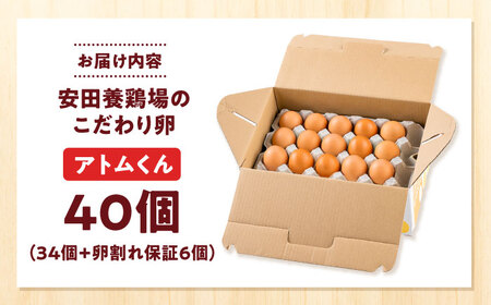 安田養鶏場の卵 アトムくん 40個入り [AKHN003] 産地直送卵 年内発送