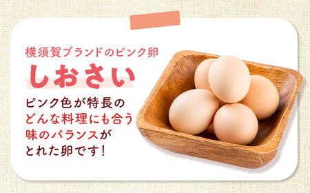 【全3回定期便】たまご 30個入り [AKHN008]たまご