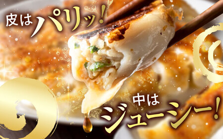 訳あり 本格餃子 50個 餃子年内発送 [AKHQ001]