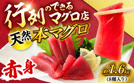 天然 本まぐろ 赤身 計約1.6kg （8柵入り）【横須賀商工会議所 おもてなしギフト事務局（本まぐろ直売所 横須賀本店）】[AKAK099]