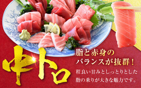 天然 まぐろ 中トロ＆赤身 各1柵（計約450g）  [AKAK115]