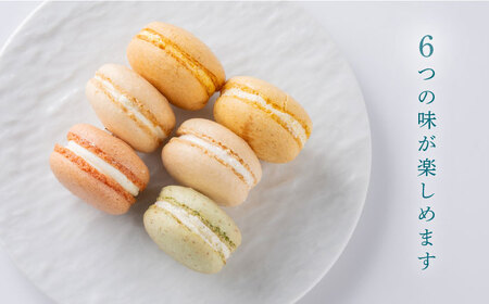 マカロン6個セット よこすかfarmersSelection マカロン お菓子