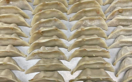 冷凍餃子 50個セット 【光楽】[AKGZ001]