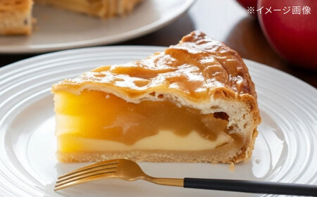 りんごいっぱいアップルパイ 計8個 アップルパイ  年内発送 [AKCI027]