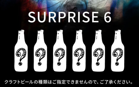 クラフトビール おまかせ6本（3種×2本）セット SURPRISE 6【GRANDLINE BREWING】[AKGM004]