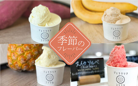 季節のジェラートおまかせ8点セット【ジェラテリア コンナカ】[AKHT003]