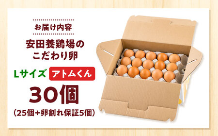 【ふるなびWEEK対象】卵アトムくん 30個入り Lサイズ 卵［AKHN013-FW］FN-Limited-PR