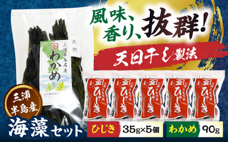 三浦半島産ひじき（35g×5個）わかめ（90g）セット【小川海産物有限会社】[AKDU002]