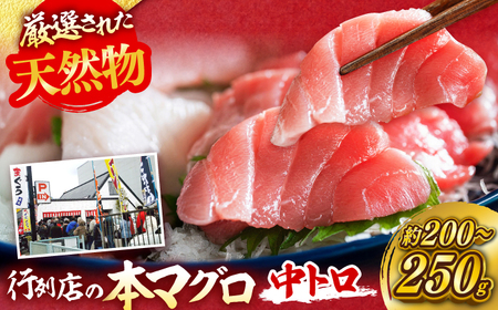 天然 本まぐろ 中トロ（約200~250g（1柵入り））【横須賀商工会議所 おもてなしギフト事務局（本まぐろ直売所 横須賀本店）】[AKAK118]