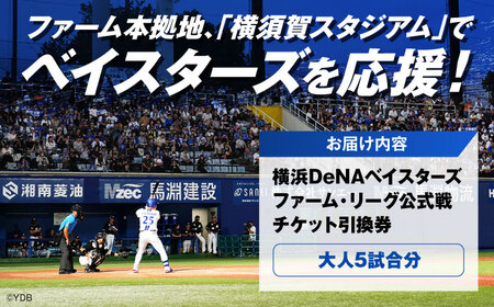 横浜DeNAベイスターズ ファーム・リーグ公式戦チケット 引換券 大人5試合分【株式会社横浜DeNAベイスターズ】[AKIF005]