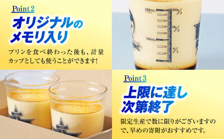【先行予約】【2026年5月15日より順次お届け】【数量限定300セット】横浜DeNAベイスターズビーカー入り 北海道フレッシュクリームプリン 2個セット【マーロウ】[AKAF144]