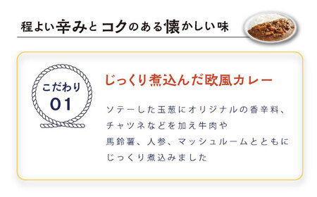 さいか屋謹製よこすか海軍カレー 2食入り4箱 [AKCH001]カレー