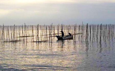 走水 焼のり 5帖（10枚×5）海苔 焼き海苔 横須賀 走水 神奈川  [AKBB003]