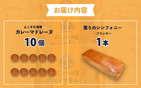 よこすか海軍カレーマドレーヌ 10個入り ・ よこすか薫りのシンフォニー 1本入り（ブランデーケーキ1本） 【菓子工房モリ】 [AKBJ005]