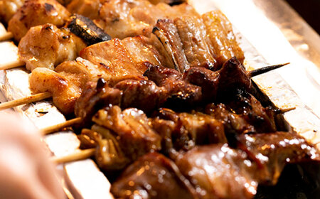 10種の冷凍特製炭火やきとり 60本セット  [AKEK002] やきとり