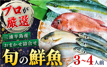 魚 旬のおまかせ 鮮魚 厳選詰め合わせセット [AKAJ002]鮮魚