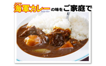 よこすか海軍カレー ネイビーブルーカレーフレーク 125g×53袋 カレー 海上自衛隊カレー 海軍 海軍カレー 軍艦 横須賀 自衛隊 神奈川 レトルト 非常食 保存食  【横須賀商工会議所 おもてなしギフト事務局（株式会社調味商事）】 [AKAQ014]