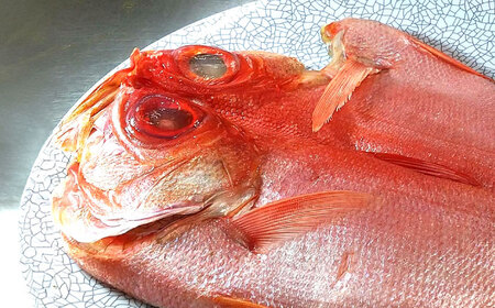 干物 かながわブランド「三崎黒潮キンメ」 特大 2枚入 約1400g セット ひもの 金目鯛 キンメダイ 干物 ひもの 干物【長井水産株式会社】 [AKAJ001]