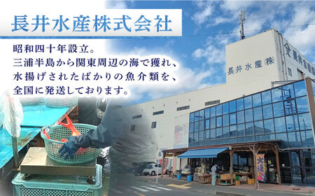 干物 かながわブランド「三崎黒潮キンメ」 特大 2枚入 約1400g セット ひもの 金目鯛 キンメダイ 干物 ひもの 干物【長井水産株式会社】 [AKAJ001]