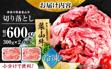 葉山牛 牛肉切り落とし300g×2パック  牛肉  [AKAG001]