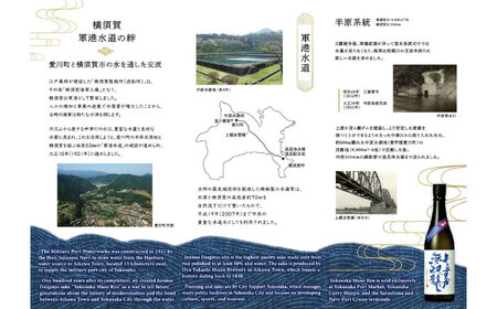 純米大吟醸 よこすか無双龍 720ml【一般財団法人シティサポートよこすか】 [AKDK001]