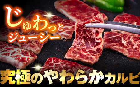 牛カルビ 2kg 焼肉用 肉 牛肉 カルビ 焼き肉 キャンプカルビ BBQ バーベキュー カルビ 焼肉 牛脂 冷凍 やきにく かるび クリスマス くりすます【コロワイドMD神奈川工場】 [AKAH002]