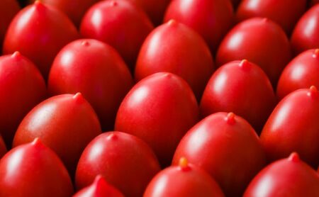 湘南ポモロンレッド&ゴールド プレミアム ジュースセット(500g×各1本)ギフトボックス入り