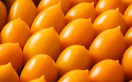 湘南ポモロンレッド&ゴールド プレミアム ジュースセット(500g×各1本)ギフトボックス入り