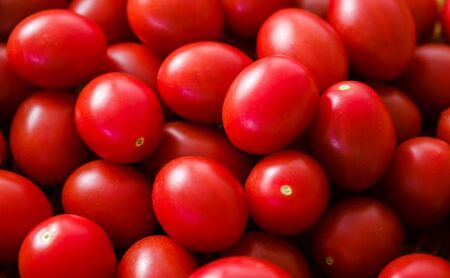 シシリアンルージュ ジュース&イタリアントマトピューレー(2本)セット ギフトボックス入り