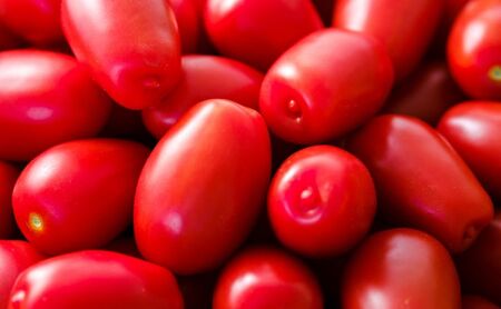 シシリアンルージュ ジュース&イタリアントマトピューレー(2本)セット ギフトボックス入り