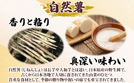 自然薯 カット自然薯 じねんじょ養強壮 化粧箱 神奈川県 平塚市