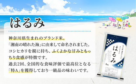 『令和7年産』 (株)平塚中央ライスセンターが自社で苗から育てた はるみ5kg 精米 過去2回 特A獲得