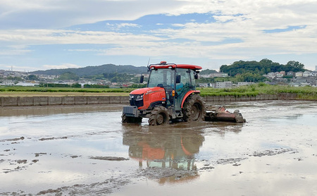 『令和7年産』 (株)平塚中央ライスセンターが自社で苗から育てた はるみ5kg 精米 過去2回 特A獲得