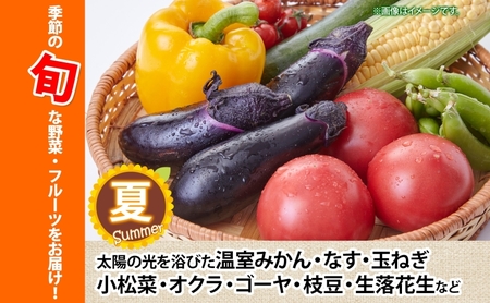 湘南産 地場野菜 フルーツ 詰合せ セット旬 新鮮 産地直送 温室みかん なす 玉ねぎ 小松菜 オクラ ゴーヤ 枝豆 生落花生 柿 きゅうりさつまいも さといも キャベツ お取り寄せグルメ 季節 家庭用 贈り物 冷蔵 八百屋コウタ 神奈川県 平塚市