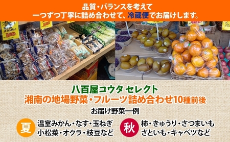 湘南産 地場野菜 フルーツ 詰合せ セット旬 新鮮 産地直送 温室みかん なす 玉ねぎ 小松菜 オクラ ゴーヤ 枝豆 生落花生 柿 きゅうりさつまいも さといも キャベツ お取り寄せグルメ 季節 家庭用 贈り物 冷蔵 八百屋コウタ 神奈川県 平塚市