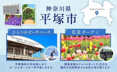 【ふるさと納税】神奈中バス ダイキャスト模型 三菱ふそう ダイキャスト模型 懐かしの昭和に活躍したバス ブルドッグ 模型 のりもの 乗り物 玩具 おもちゃ 雑貨 日用品 P-MP118N 神奈中商事 送料無料 神奈川県 平塚市